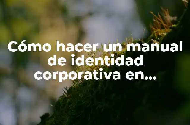 Cómo Hacer un Manual de Identidad Corporativa en Indesign