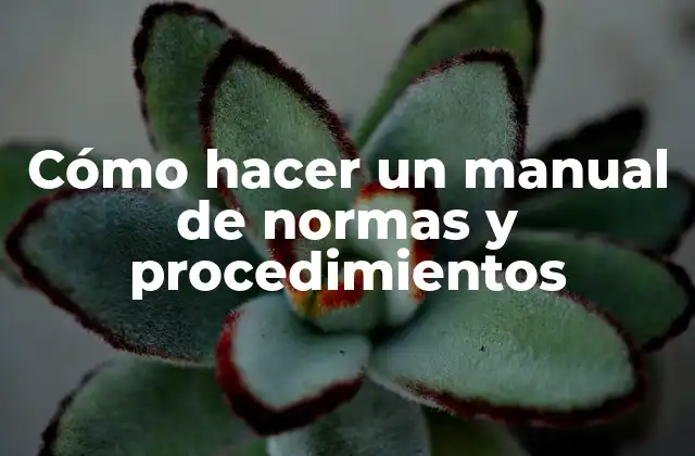 Cómo Hacer un Manual de Normas y Procedimientos 2 Cómo hacer un manual de normas y procedimientos