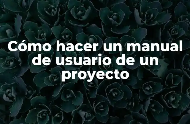 Cómo Hacer un Manual de Usuario de un Proyecto