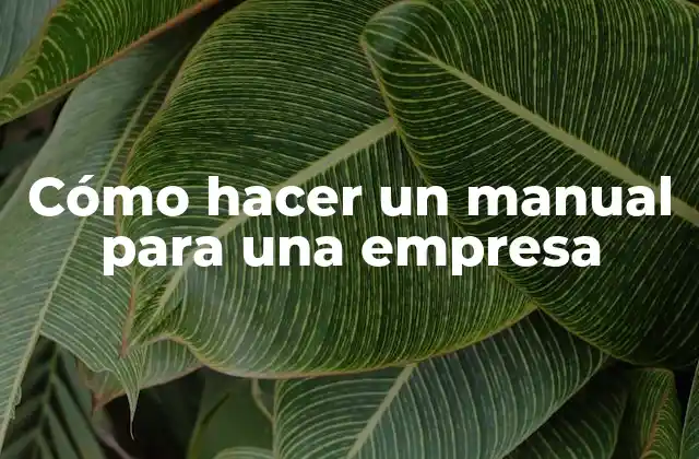 Cómo Hacer un Manual para una Empresa