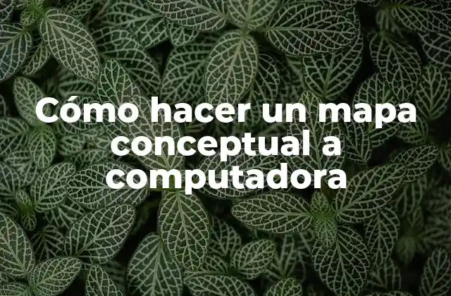 Cómo Hacer un Mapa Conceptual a Computadora
