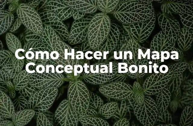 Cómo Hacer un Mapa Conceptual Bonito