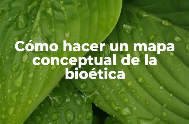 Cómo Hacer un Mapa Conceptual de la Bioética 2 Cómo hacer un mapa conceptual de la bioética