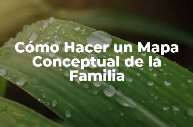 ¿Qué es un Mapa Conceptual de la Familia?
