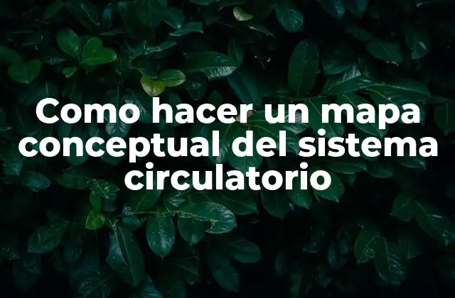 Como Hacer un Mapa Conceptual Del Sistema Circulatorio
