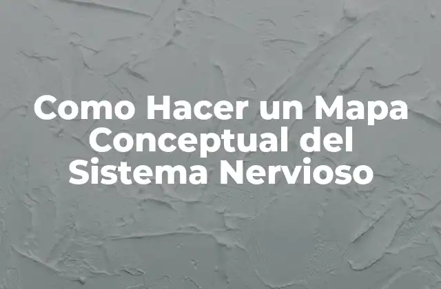 Como Hacer un Mapa Conceptual Del Sistema Nervioso