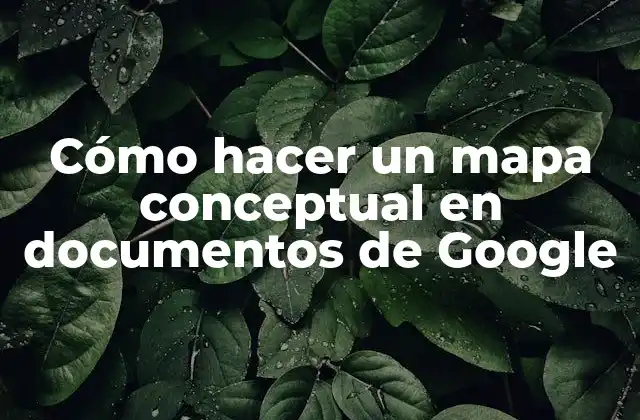 Cómo Hacer un Mapa Conceptual en Documentos de Google 2 ¿Qué es un mapa conceptual en documentos de Google?