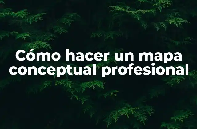 Cómo Hacer un Mapa Conceptual Profesional