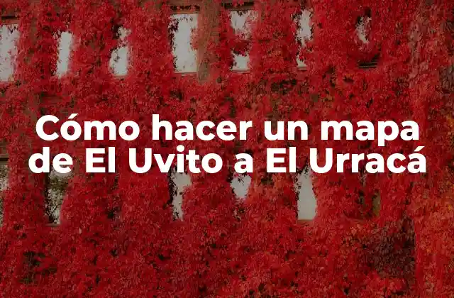 Cómo Hacer un Mapa de el Uvito a el Urracá