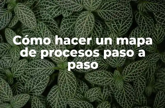 Cómo Hacer un Mapa de Procesos Paso a Paso