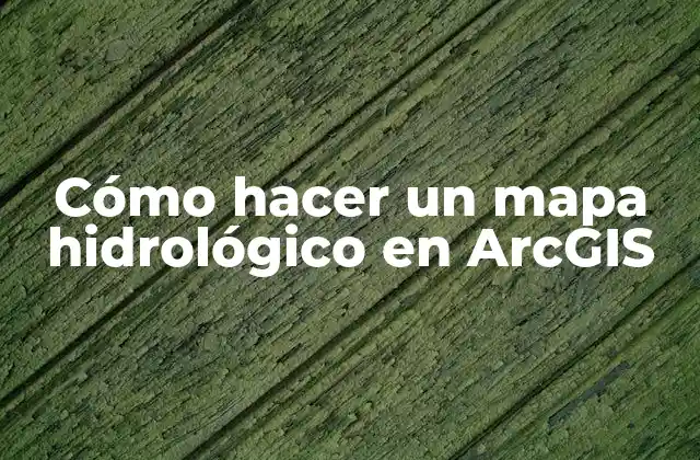 Cómo Hacer un Mapa Hidrológico en Arcgis