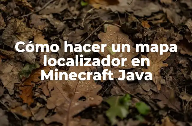 Cómo Hacer un Mapa Localizador en Minecraft Java