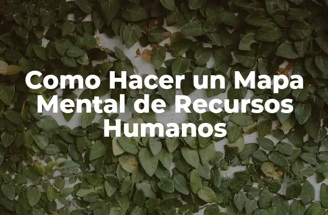 Como Hacer un Mapa Mental de Recursos Humanos