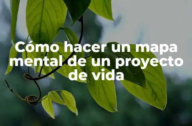 ¿Qué es un mapa mental de un proyecto de vida?