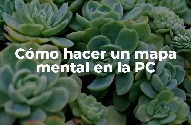 Cómo Hacer un Mapa Mental en la Pc