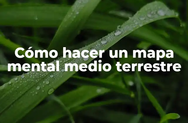 ¿Qué es un mapa mental medio terrestre?