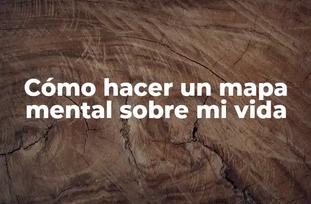 Cómo Hacer un Mapa Mental sobre Mi Vida