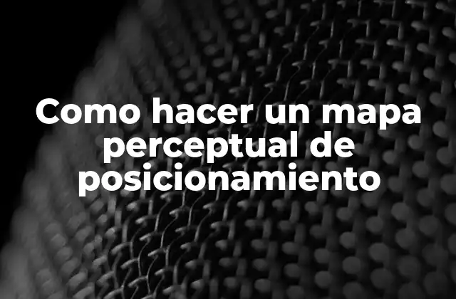 Como Hacer un Mapa Perceptual de Posicionamiento