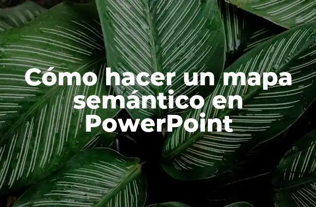 Cómo Hacer un Mapa Semántico en Powerpoint 2 ¿Qué es un mapa semántico en PowerPoint?