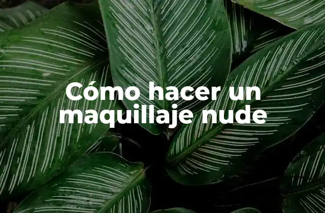Cómo Hacer un Maquillaje Nude