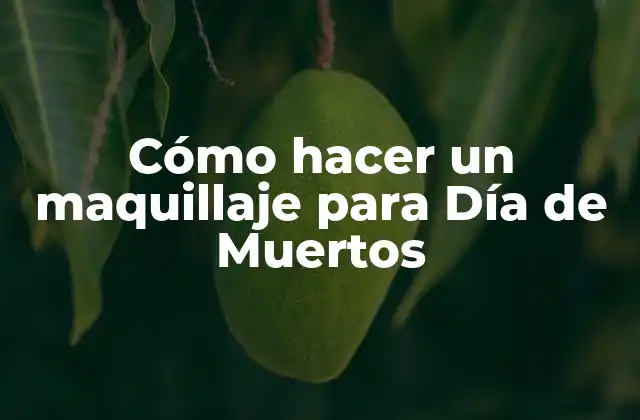 Cómo Hacer un Maquillaje para Día de Muertos