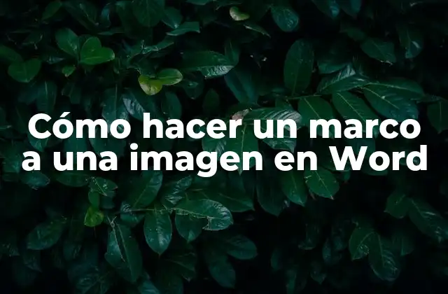 Cómo Hacer un Marco a una Imagen en Word
