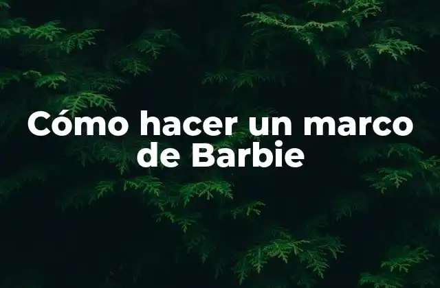 ¿Qué es un marco de Barbie y para qué sirve?