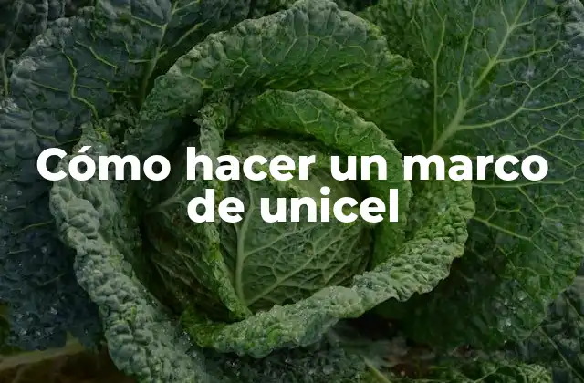 Cómo Hacer un Marco de Unicel