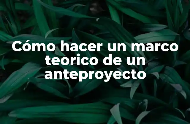 Cómo Hacer un Marco Teorico de un Anteproyecto