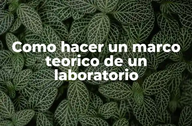 Como Hacer un Marco Teorico de un Laboratorio