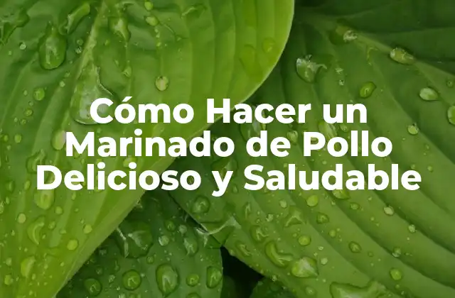 Cómo Hacer un Marinado de Pollo Delicioso y Saludable 2 Beneficios del Marinado de Pollo