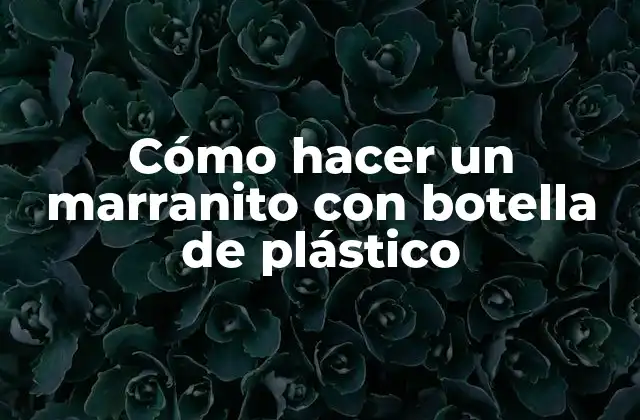 Cómo Hacer un Marranito con Botella de Plástico