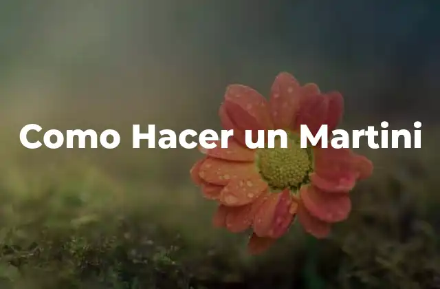 Como Hacer un Martini