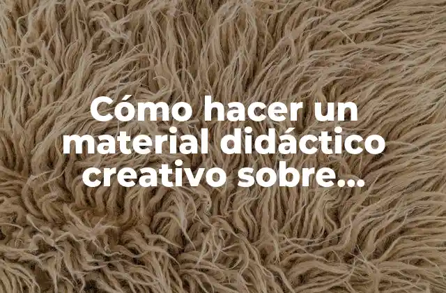 Cómo Hacer un Material Didáctico Creativo sobre Fotografías y Cámara