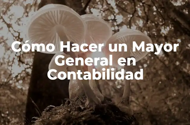 Cómo Hacer un Mayor General en Contabilidad