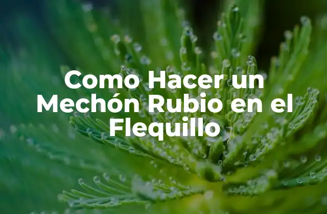 Como Hacer un Mechón Rubio en el Flequillo