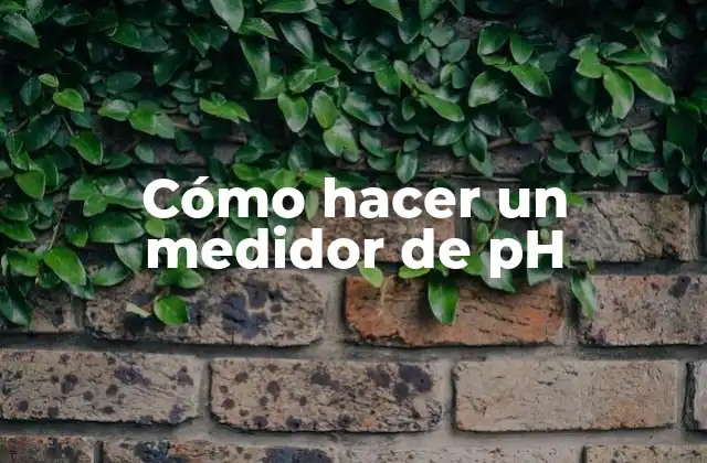 Cómo hacer un medidor de pH