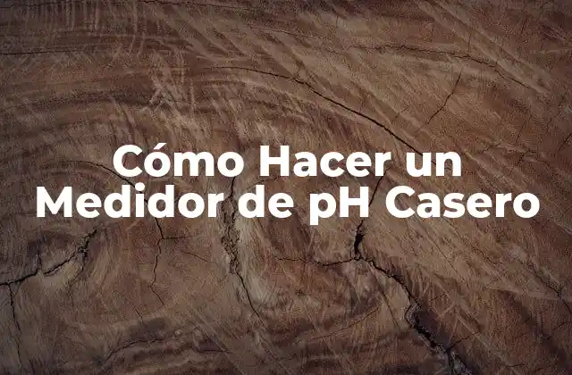 Cómo Hacer un Medidor de Ph Casero