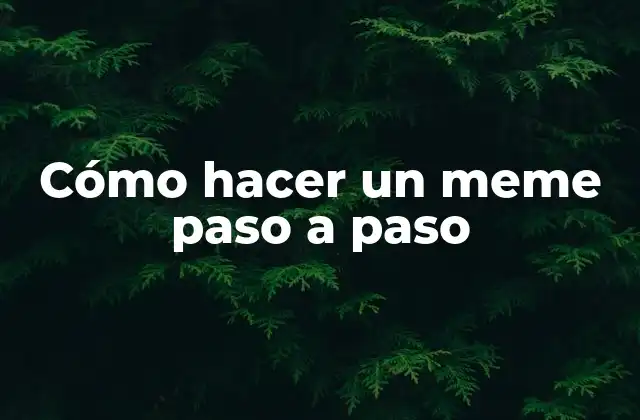 Cómo Hacer un Meme Paso a Paso