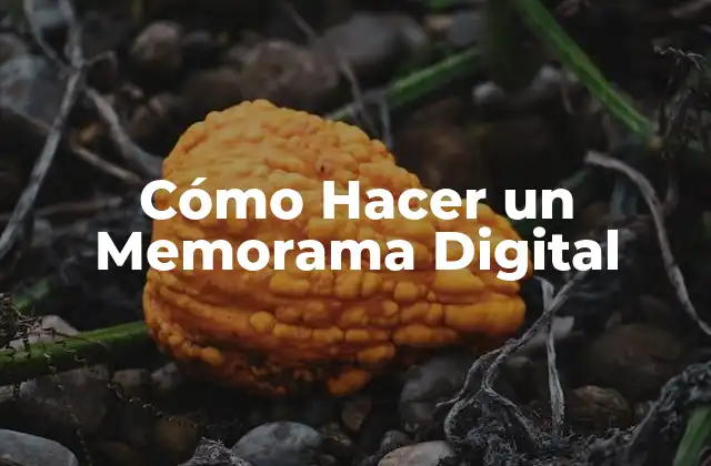 Cómo Hacer un Memorama Digital