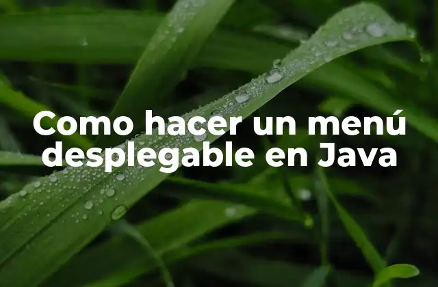 Como Hacer un Menú Desplegable en Java 2 Un menú desplegable en Java