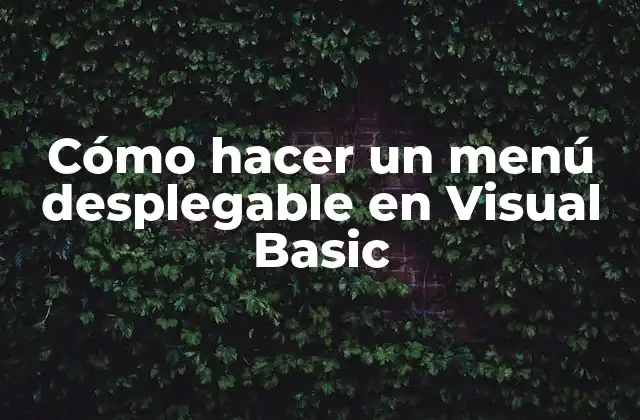 Cómo Hacer un Menú Desplegable en Visual Basic