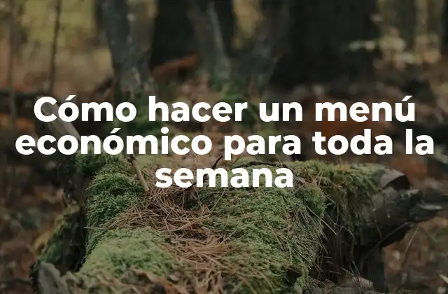 Cómo Hacer un Menú Económico para Toda la Semana