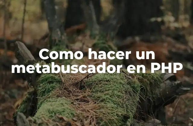Como Hacer un Metabuscador en Php