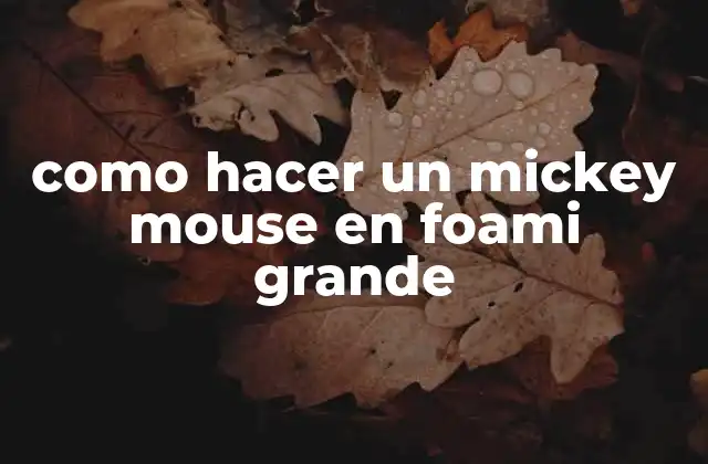 ¿Qué es un Mickeys Mouse en foami grande?