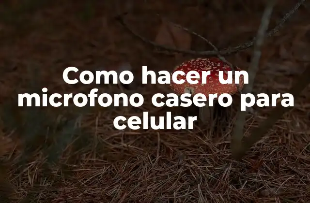 ¿Qué es un microfono casero para celular?