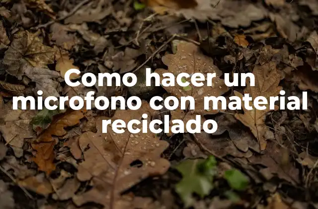 Como hacer un microfono con material reciclado