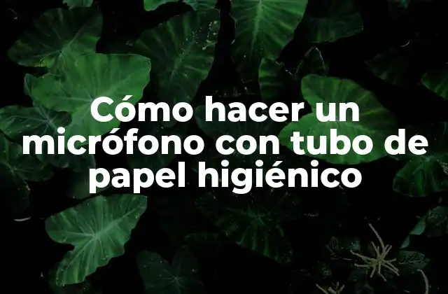 Cómo Hacer un Micrófono con Tubo de Papel Higiénico 2 ¿Qué es un micrófono con tubo de papel higiénico?