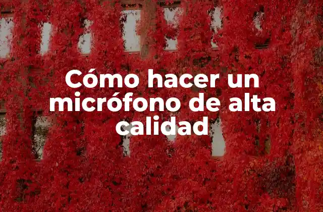 Cómo Hacer un Micrófono de Alta Calidad
