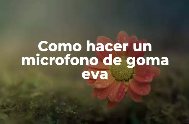 ¿Qué es un microfono de goma eva y cómo funciona?